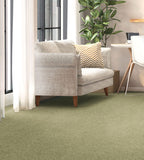 Penthouse Carpets seasons