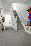 Penthouse Carpets Range