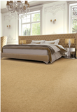 Penthouse Carpets Range